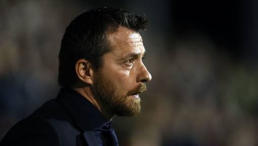 Championship Coach Heads the List of Replacements Wanted by Crystal Palace Chairman Steve Parish