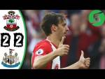 Southampton vs Newcastle 2-2 - Highlights & Goals - 15 October 2017