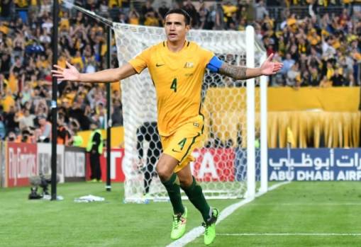 Cahill to make Honduras trip despite injury