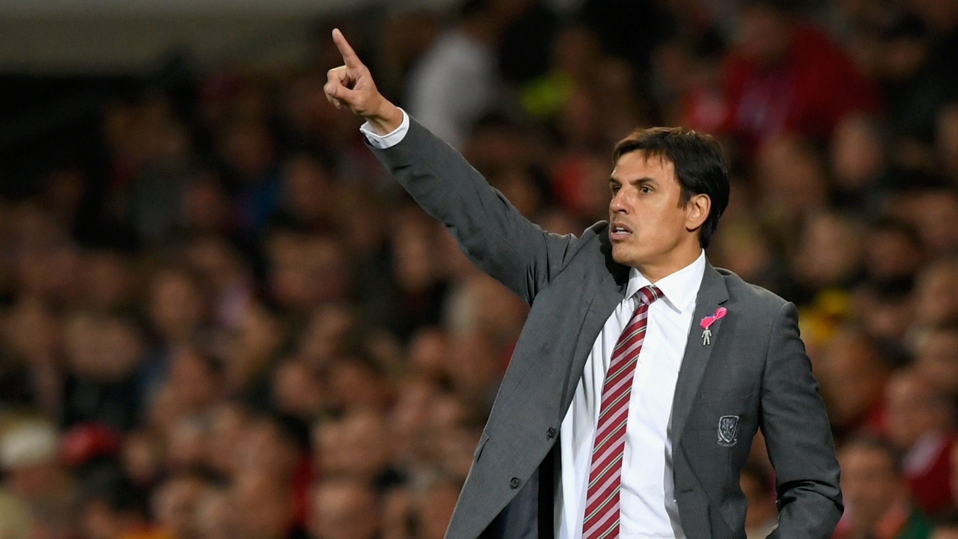 Sunderland must give Coleman time - Grayson