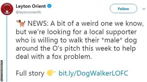 Orient fed up with 'fox in the box' - and ask local male dogs for help