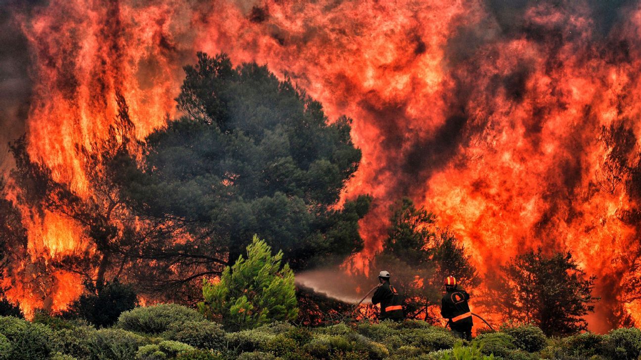 Arsenal's Sokratis Papastathopoulos, AEK Athens players to donate to Greece wildfire victims