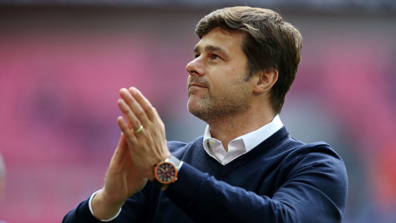 Tottenham Hotspur might not not make any signings - Mauricio Pochettino
