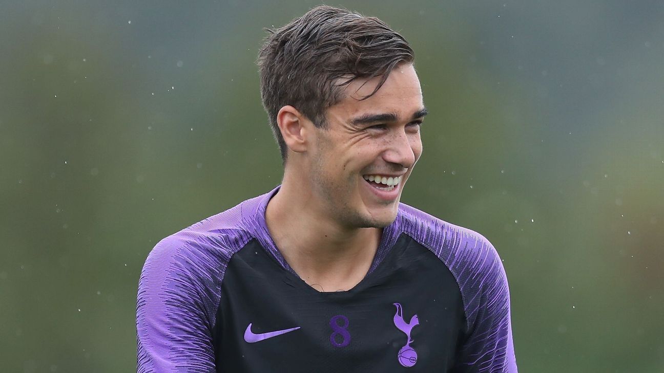 Harry Winks ready to revitalise creaking Spurs midfield after long injury layoff