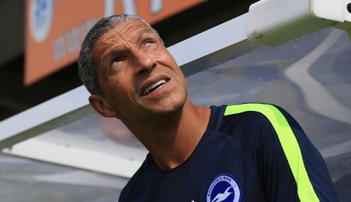 Hughton keeping Seagulls grounded