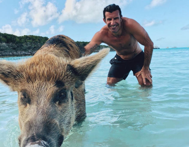 Ex-Real Madrid and Barcelona winger Figo enjoys swim with pigs in Bahamas