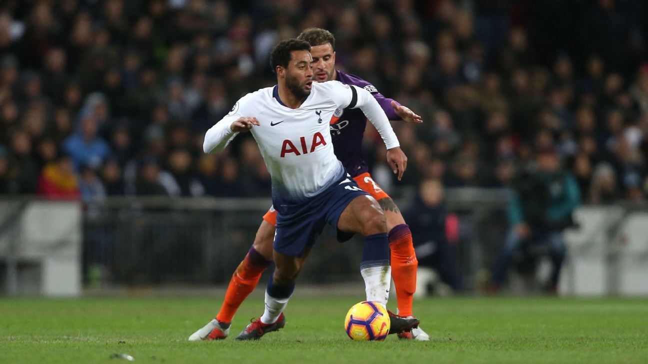 Premier League will lose its most unique player when Mousa Dembele leaves Tottenham