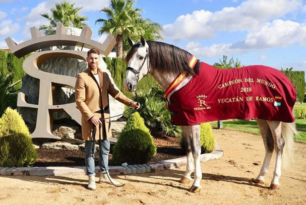 Horse breeding, wine making, fishmongering and biotech research -- footballers' interesting side projects