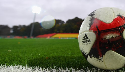 Stajcic named Mariners caretaker coach