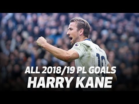 ALL OF HARRY KANE'S 2018/19 PREMIER LEAGUE GOALS