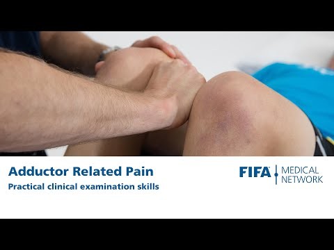 Adductor Related Pain | Practical Clinical Examination Skills