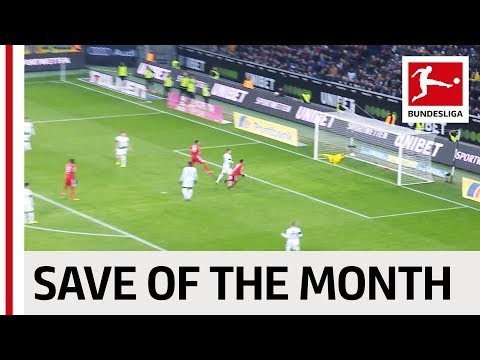 Vote For January's Best Save - Neuer, Sommer, Gulacsi & More