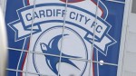 Cardiff City pair in precautionary self-isolation, confirms boss Neil Harris