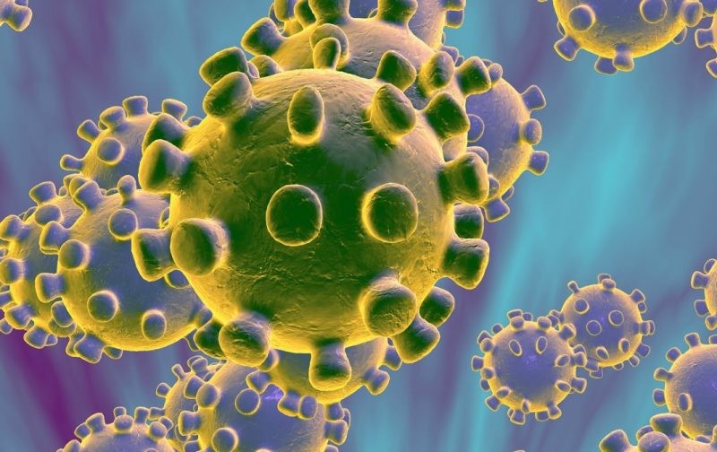 Virologist hopeful Serie A season will be finished