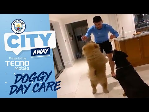 CITY AWAY | DOGGY DAY CARE