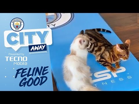 WHO IS CITY'S TIGER KING? | CITY AWAY #9