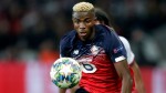 Napoli sign forward Osimhen from Lille