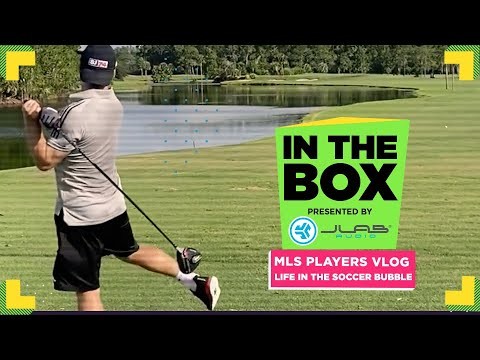 Soccer Players Golf With Crocodiles l In The Box