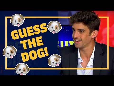 ? Can TRINCÃO match the BARÇA PLAYERS with their dogs?! ?