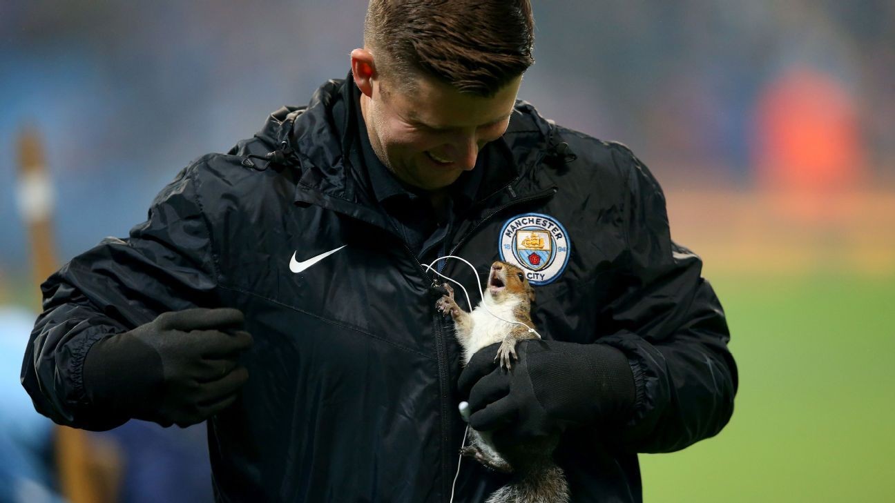 When animals invade: Soccer games have been raided by creatures great and small