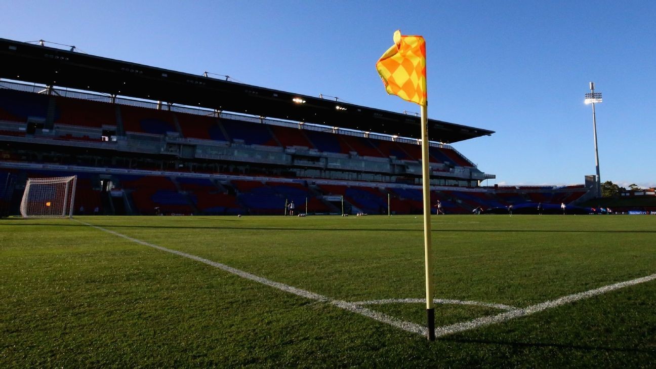 Minor leagues want season declared null and void