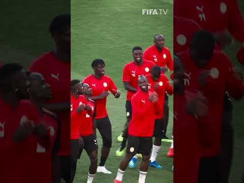 ??? Senegal getting into the groove | #Shorts