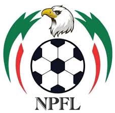 NPFL approve 11 stadiums for TV coverage