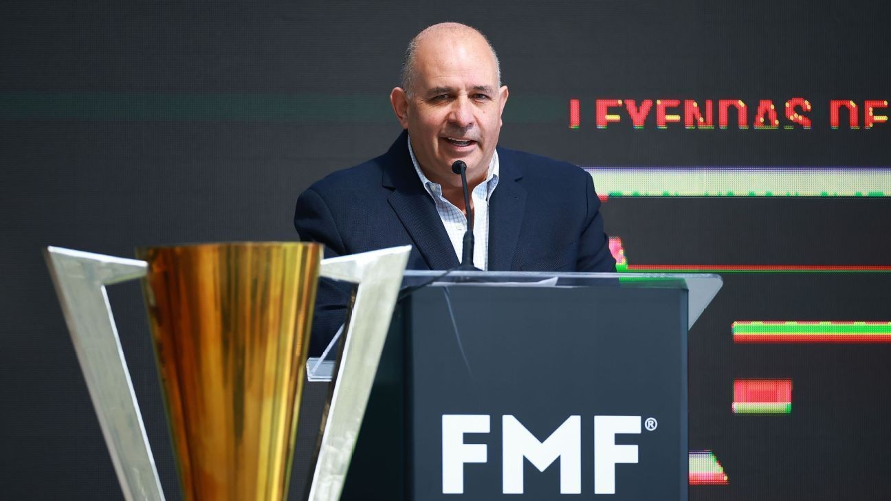 FMF commissioner resigns amid investment talks