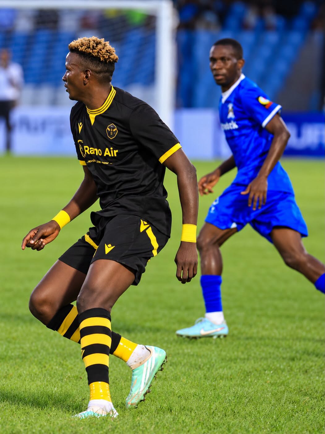 Shooting Stars Return to Winning Ways with Victory Over Ranchers Bees